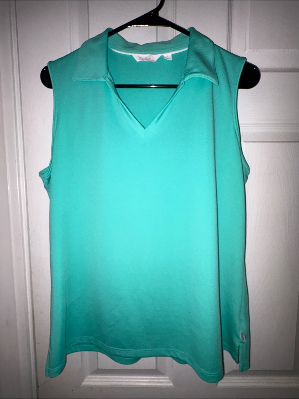 Lady Hagen Sleeveless V-Neck Tank in Teal